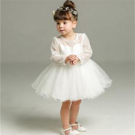 Embroidery Sleeve Newborn baby Girl baptism christening White Party Wedding dresses Baby Girl Princess Dress for Birthday Party